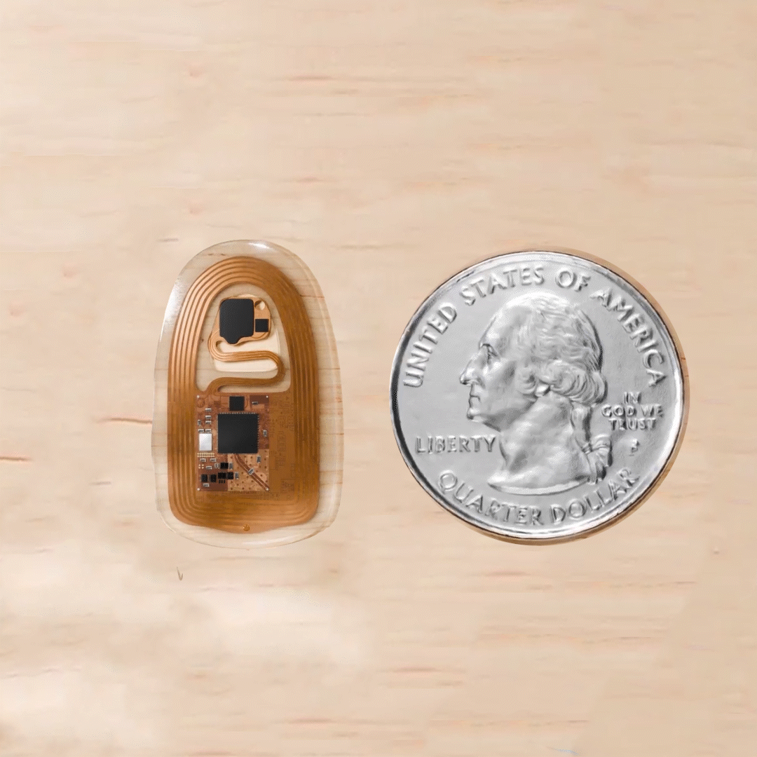 nVital, fully implantable device, battery-free, rodent research, freely moving rodents, social interaction studies, wireless communication, ultra-compact design, high-resolution data, temperature monitoring, respiration monitoring, heart rate monitoring, movement patterns, long-term stability, behavioral studies, physiological studies, precision monitoring.