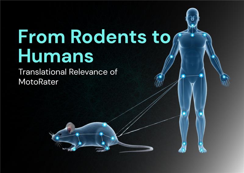 MotoRater Translational Relevance: From Rodents to Humans