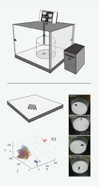 Calibration and acquisition